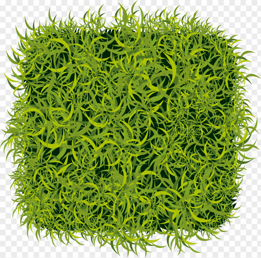 Green Fresh Grass Artificial Turf Lawn Wall PNG
