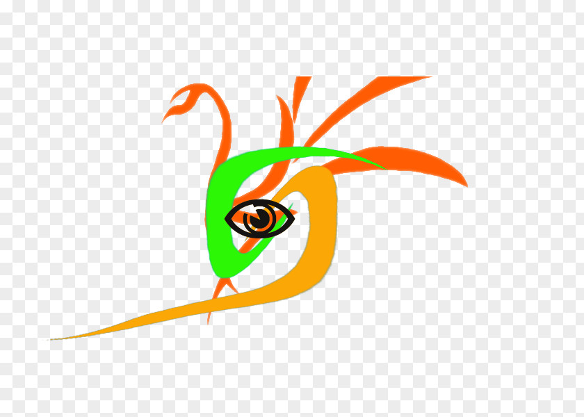 Peacock Logo Beak Bird Cartoon Clip Art PNG