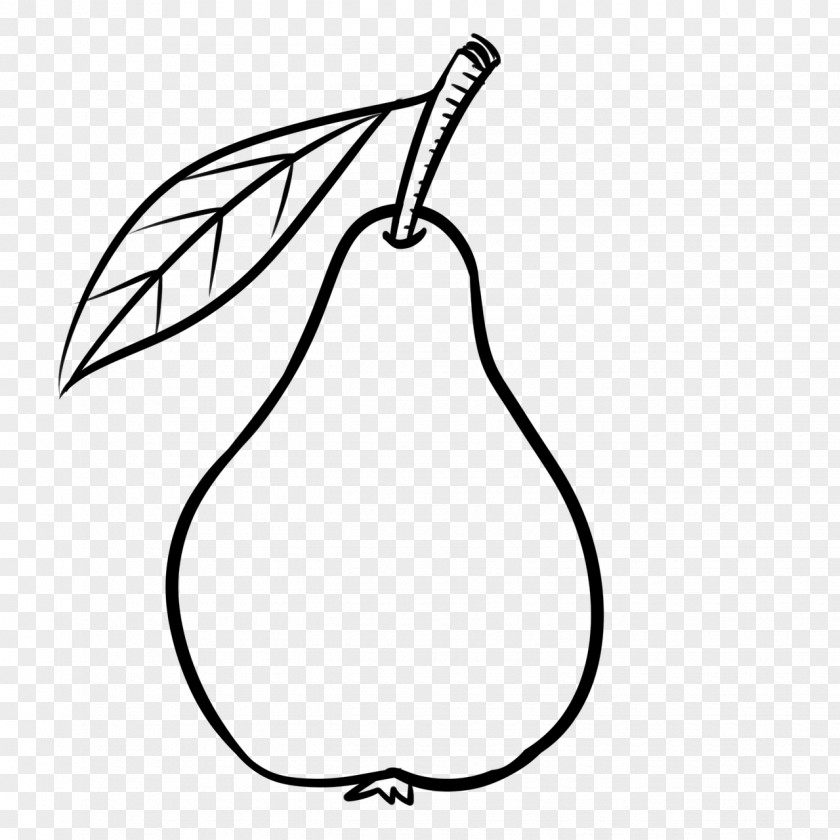 Pear Drawing Food Fruit PNG