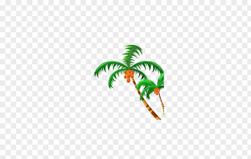 Summer, Palm Tree, Beach Nata De Coco Coconut PNG
