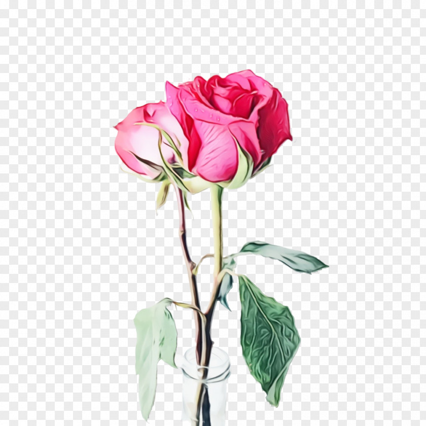 Vase Prickly Rose Black Pink PNG