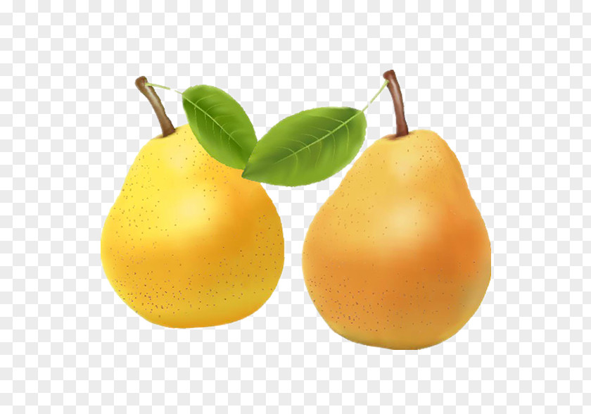 Creative Pears Juice Clementine Pear Mandarin Orange PNG