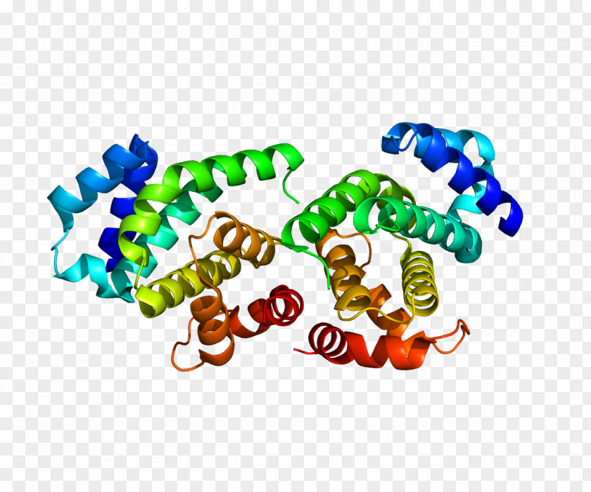 Eukaryotic Initiation Factor Protein Translation Gene PNG