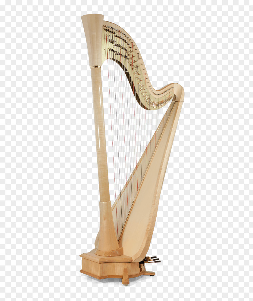 Harp Camac Harps Pedal String Celtic PNG