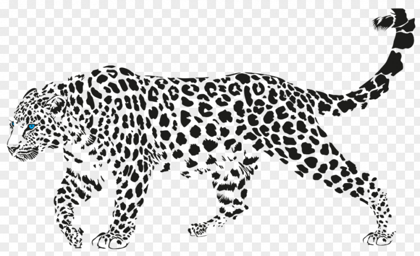 Leopard Cheetah Vector Graphics Illustration Image PNG