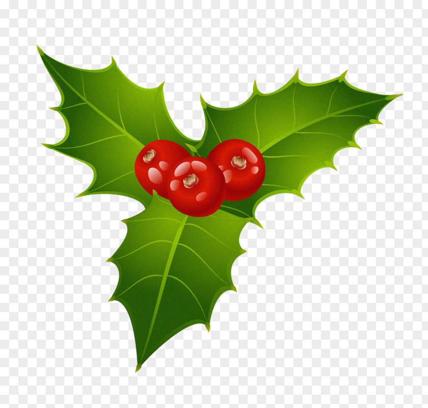 Plane Fruit Christmas Decoration Drawing PNG