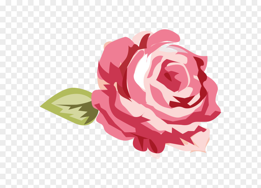 Shabby Chic Rose Wallpaper PNG