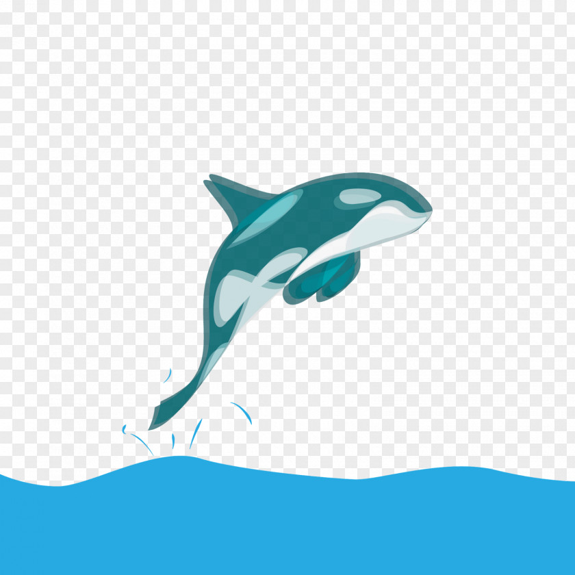Shark Common Bottlenose Dolphin Tucuxi Desktop Wallpaper PNG
