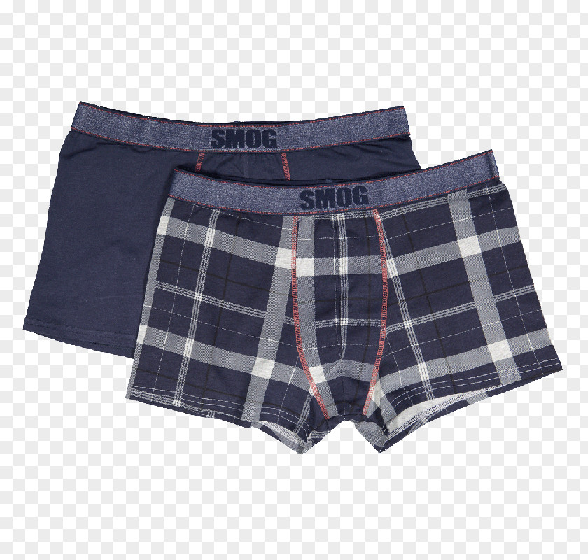 Underware Swim Briefs Trunks Underpants Bermuda Shorts PNG