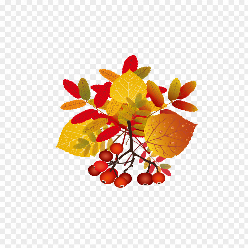 Autumn Fruit Hand-painted Leaf Information PNG