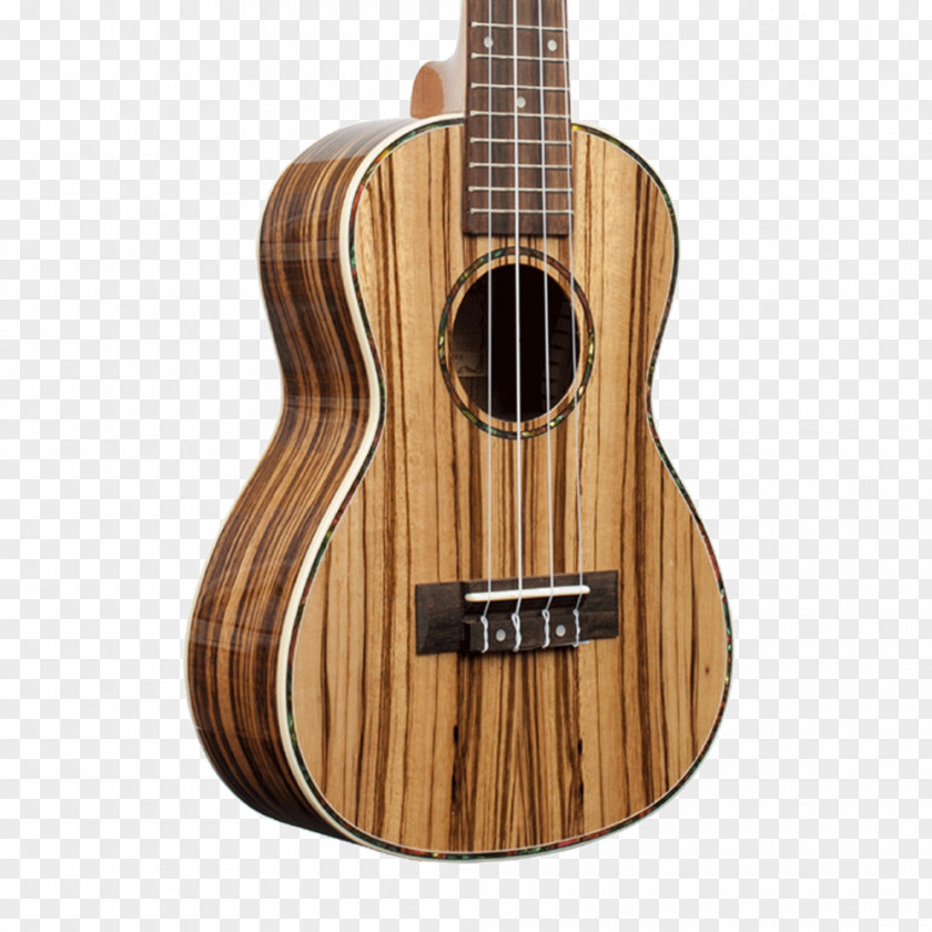 Bass Guitar Ukulele Acoustic Tiple Cuatro PNG
