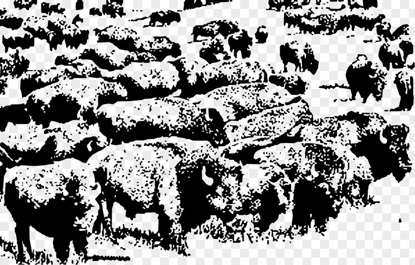Buffalo Herd American Bison Clip Art PNG
