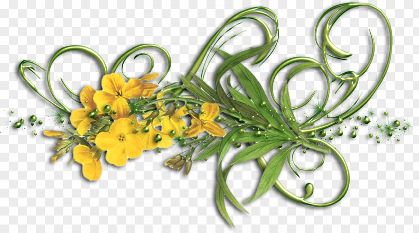 Flower Floral Design Yellow Plant PNG