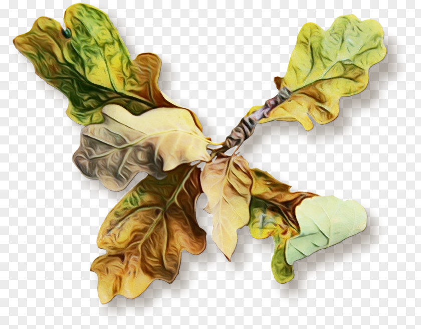 Leaf Yellow Plant Tree Pendant PNG
