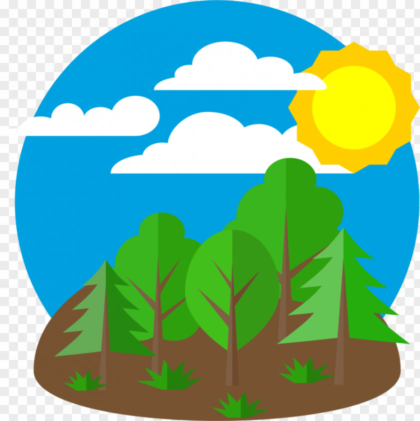 Natural Environment Forestry Nature Clip Art PNG