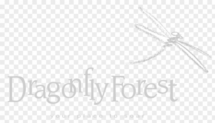 Persistent Dream Logo Brand Font Dragonfly Forest Design PNG