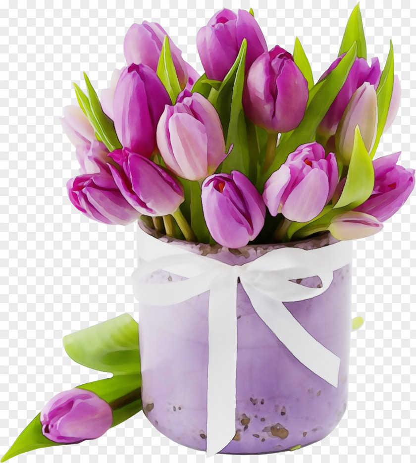 Crocus Lily Family Purple Watercolor Flower PNG