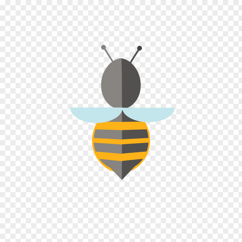 Logo Insect Font Yellow Meter PNG