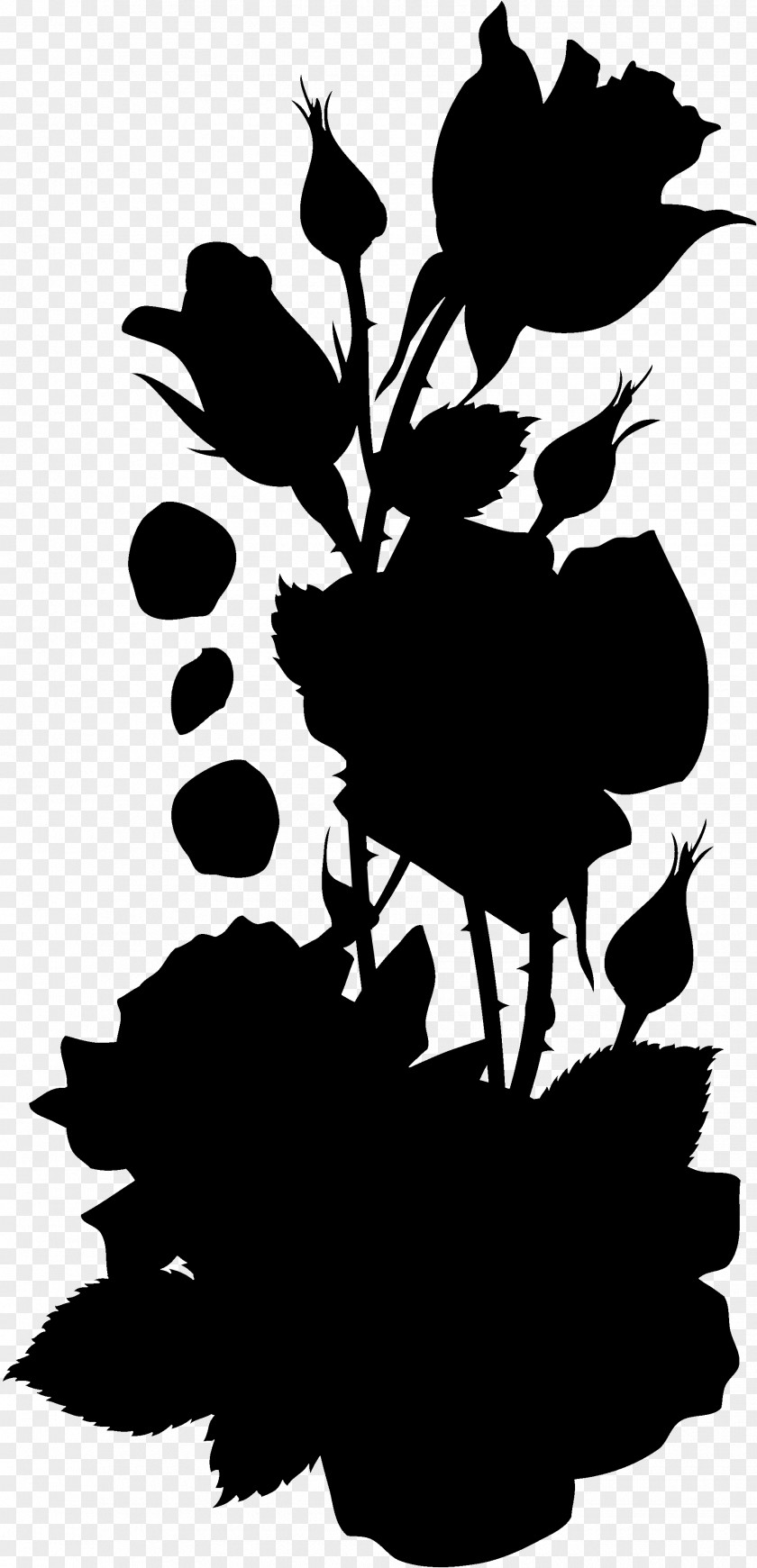 Vector Graphics Clip Art Rose Image PNG