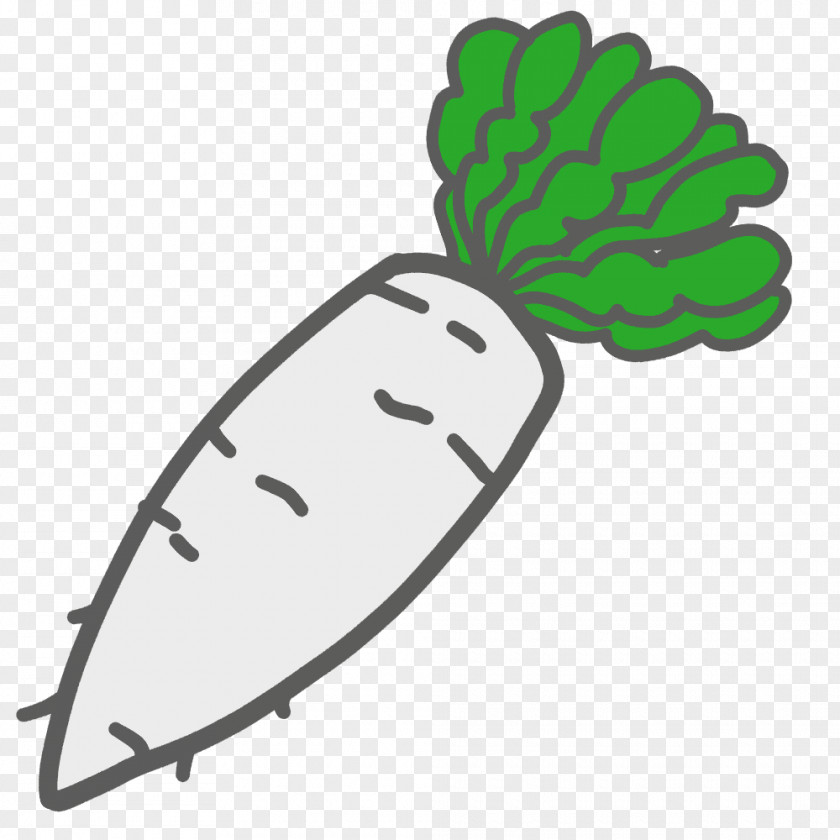 Vegetable Daikon Illustration Produce Clip Art PNG