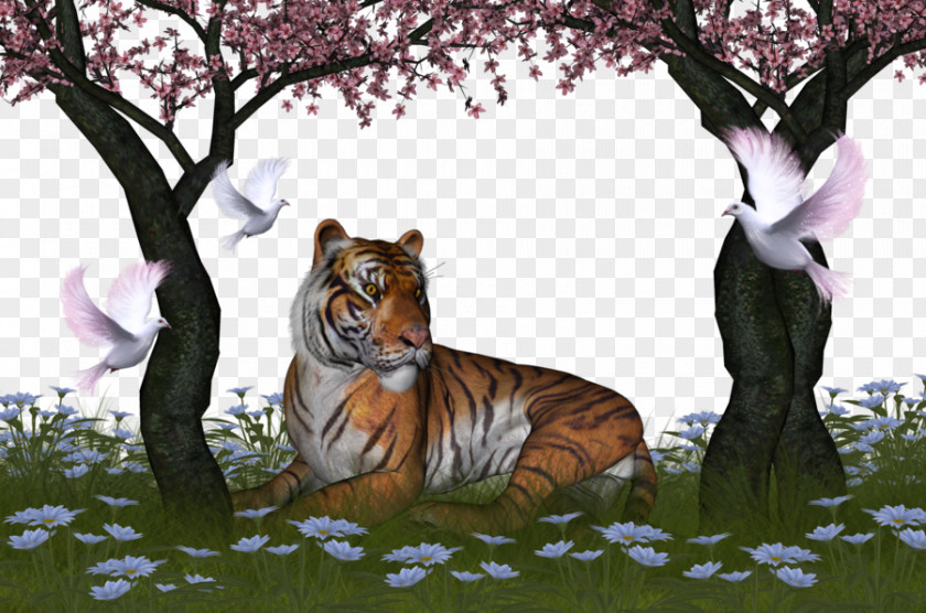 Jungle King Tiger Wallpaper PNG