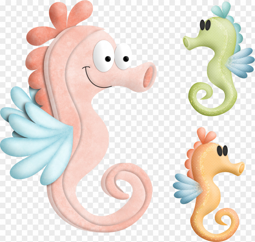 Meng Hippocampus Photos Dwarf Seahorse PNG