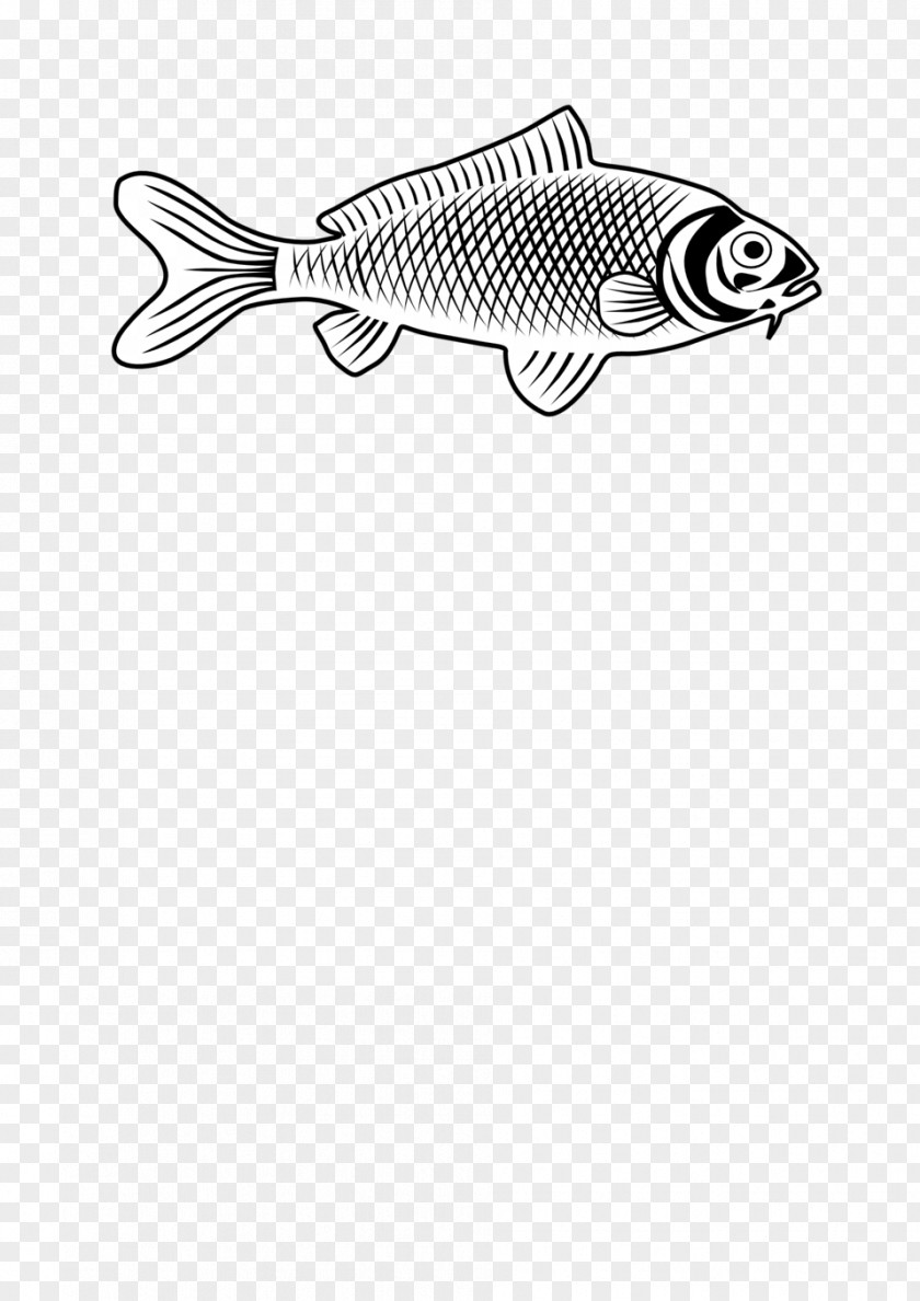 Fishing Drawing Line Art Clip PNG