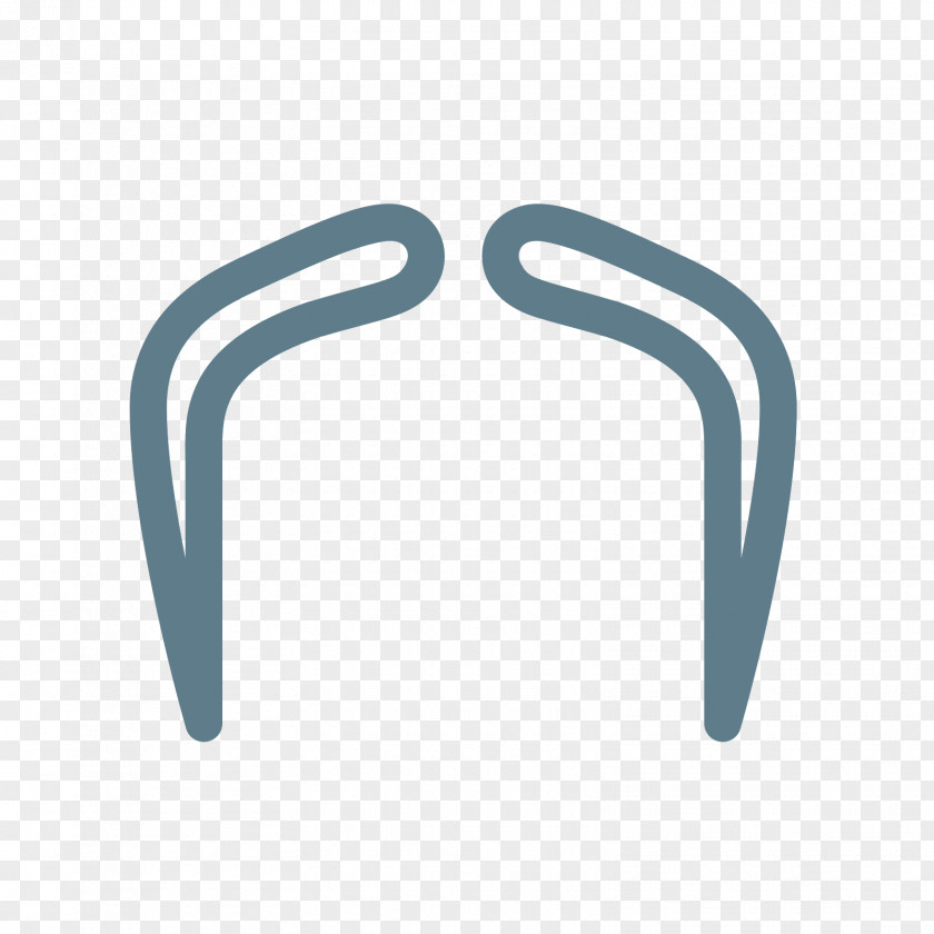 Moustache Fu Manchu Walrus PNG