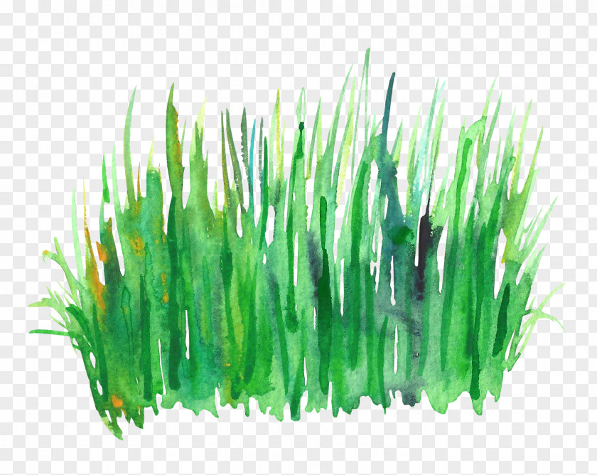 Watercolor Grass Green Painting PNG
