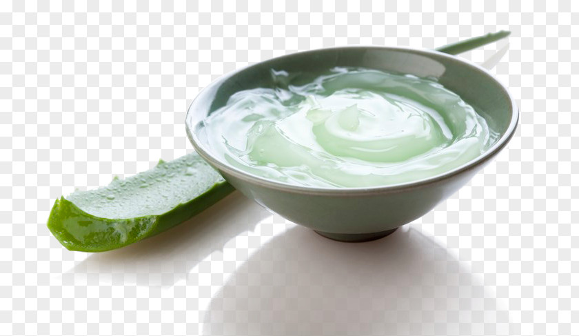 Aloe Vera Gel Skin Care Ingredient Burn PNG