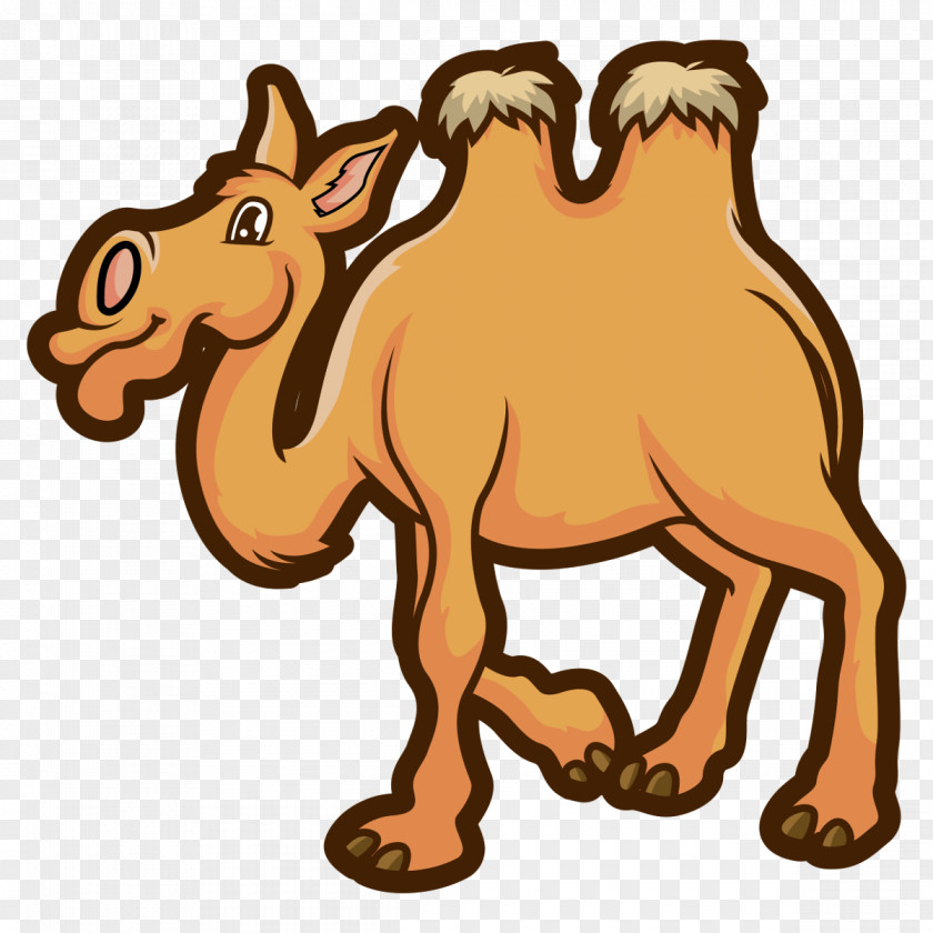 Camel Dromedary Horse Animal Mammal Clip Art PNG
