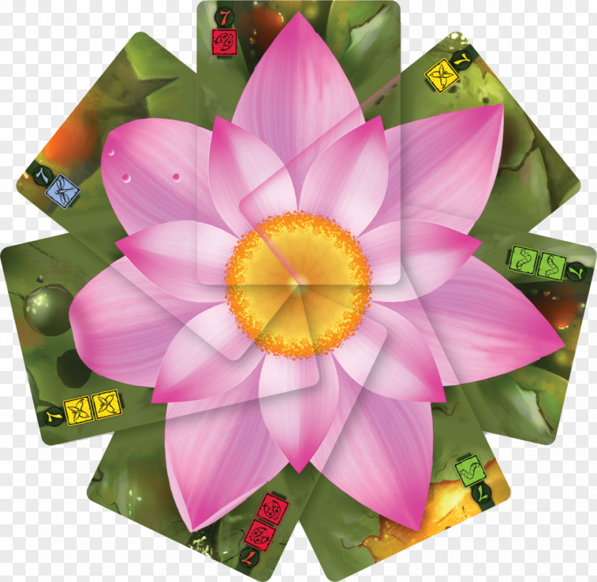 Lotus Monopoly Board Game Card PNG