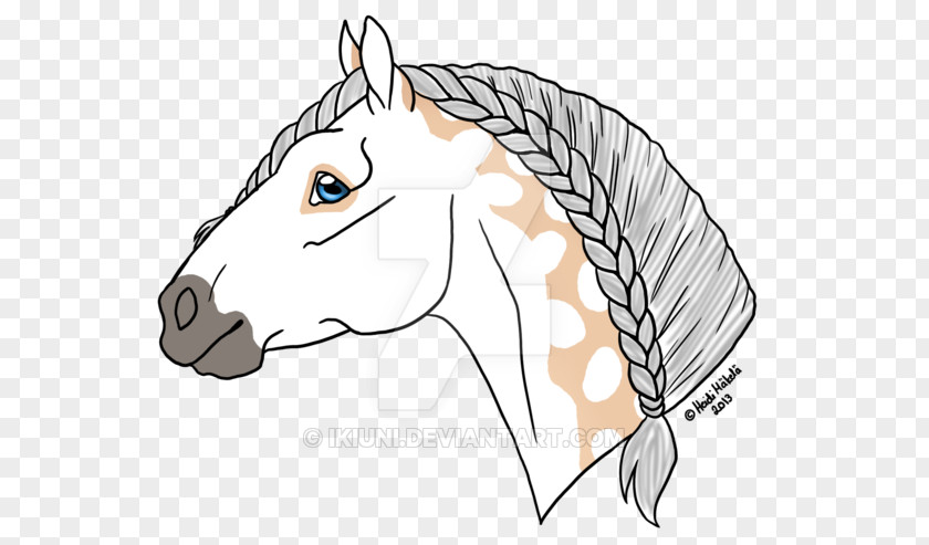Mirror On The Wall Mane Halter Mustang Rein Clip Art PNG