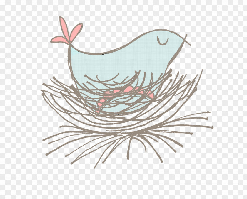 Nest Chicken Bird Galliformes Drawing PNG