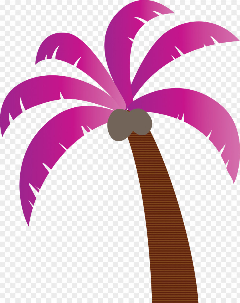 Palm Trees PNG