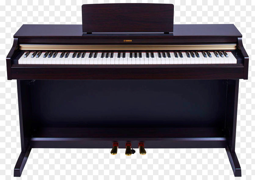 Piano Digital Electric Pianet Player Musical Keyboard PNG