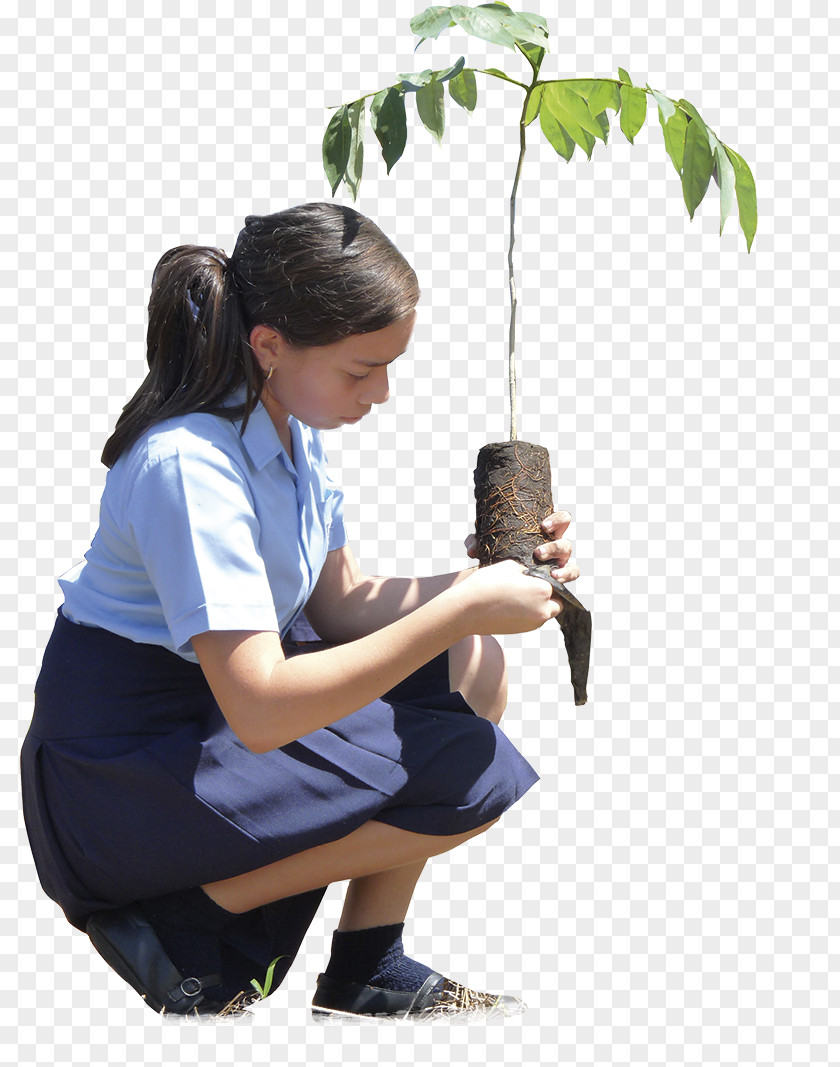 Water Human Behavior Tree PNG