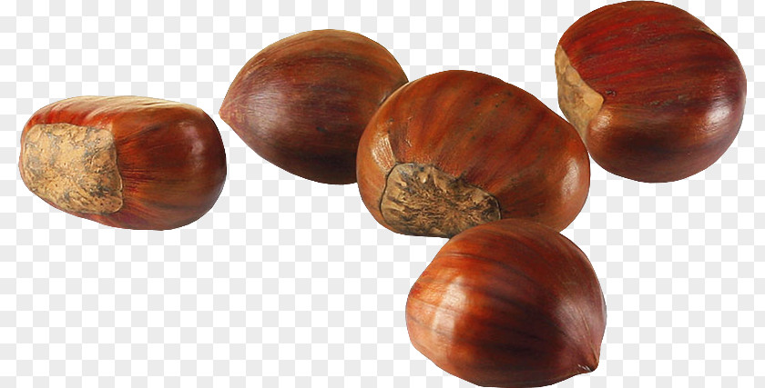 Acorn Transparent Background Chestnut Hazelnut Nuts Auglis Autumn PNG