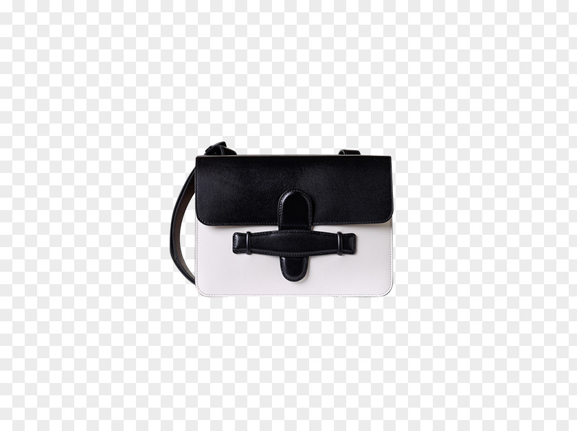Celine Handbags Handbag Nikon D800E PNG