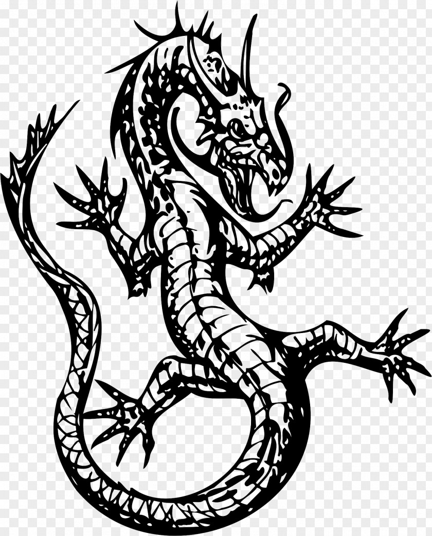Dragon Vector Graphics Illustration Stock Photography PNG