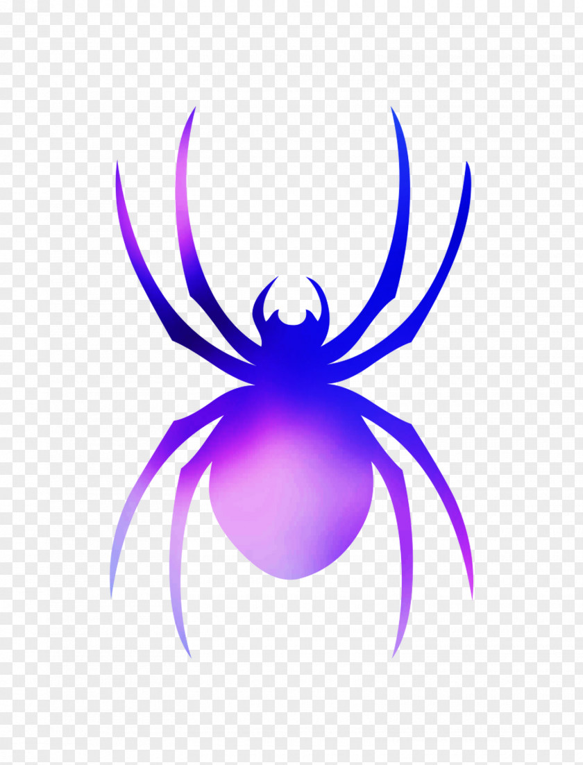Insect Clip Art Spider Desktop Wallpaper Pollinator PNG