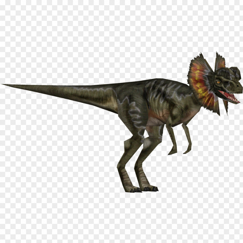 Jurassic Park Velociraptor Dilophosaurus Allosaurus Dinosaur Tyrannosaurus PNG