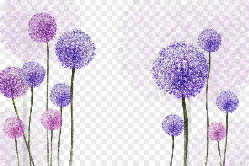 Purple Dandelion Common PNG
