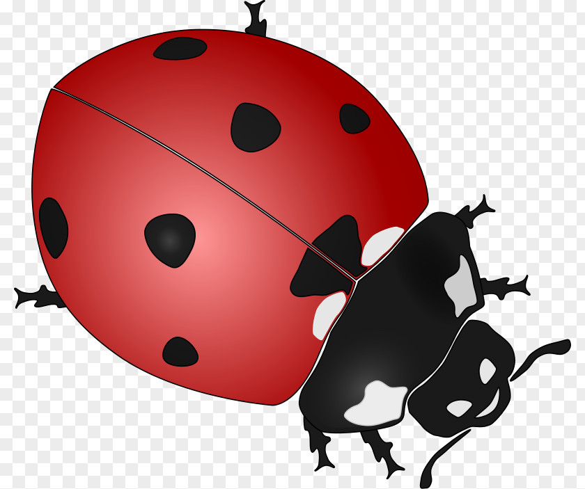 Ladybug Outline Ladybird Drawing Black And White Clip Art PNG