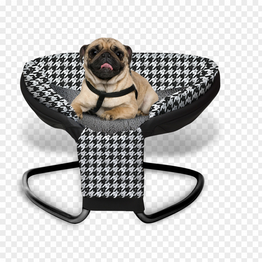 Cat Pug Dog Breed Pet Modern PNG