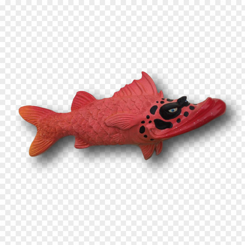 Design Shoe Fish PNG