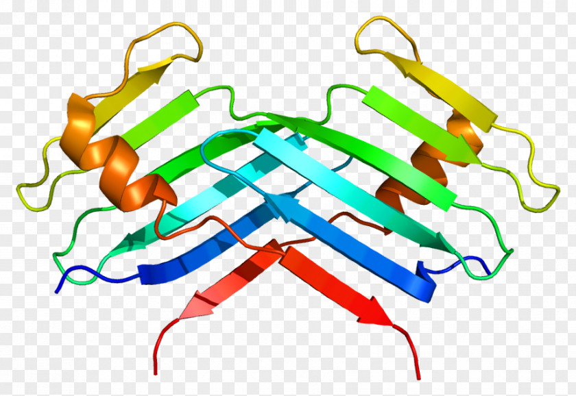 PLK4 Protein Kinase Gene PNG