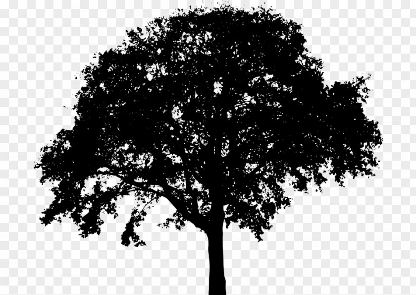 Silhouette Tree Royalty-free Clip Art PNG