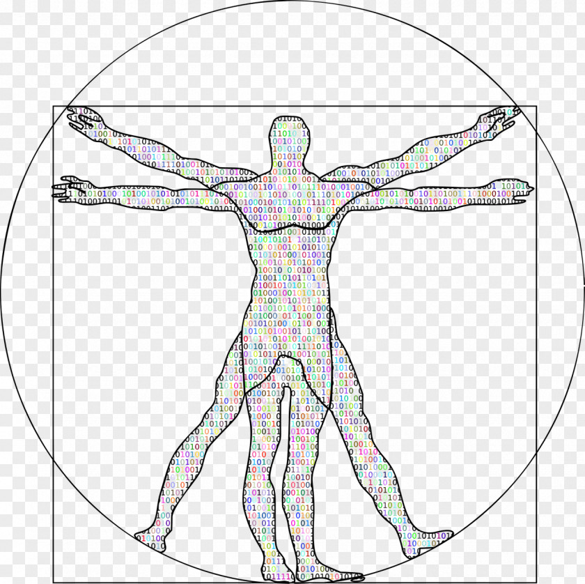 Vitruvian Man Boolean Algebra Food Clip Art PNG