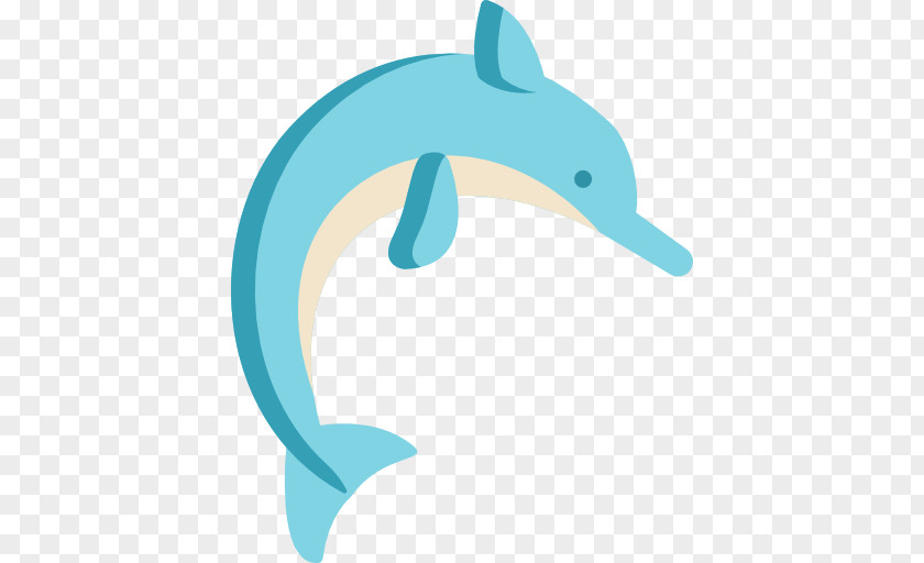 Common Bottlenose Dolphin Clip Art PNG
